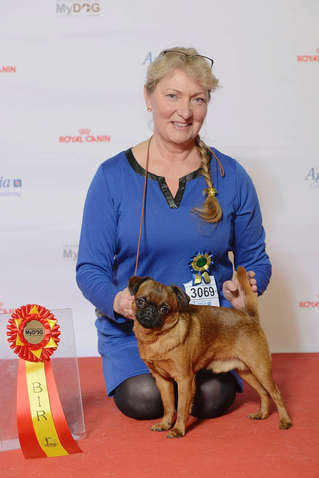 A smooth-coated Petit Brabancon champion standing at a breed show.